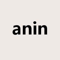 anin是什么意思