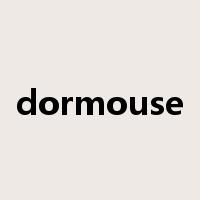dormouse是什么意思