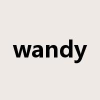 wandy是什么意思