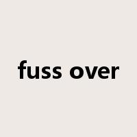 fuss over是什么意思