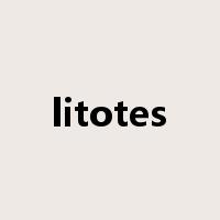 litotes是什么意思
