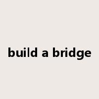build a bridge是什么意思