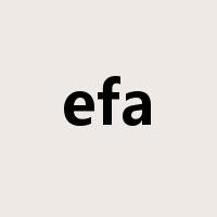 efa是什么意思