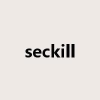 seckill是什么意思