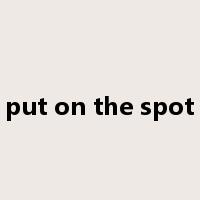 put on the spot是什么意思