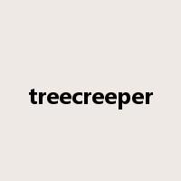 treecreeper是什么意思