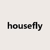 housefly是什么意思