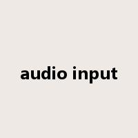 audio input是什么意思