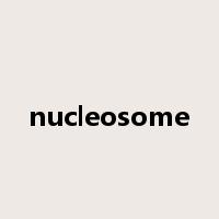nucleosome是什么意思