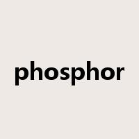 phosphor是什么意思