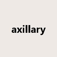 axillary是什么意思