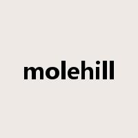 molehill是什么意思