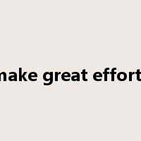 make great efforts是什么意思