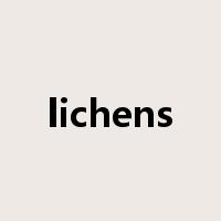 lichens是什么意思