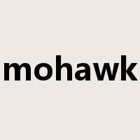 mohawk是什么意思