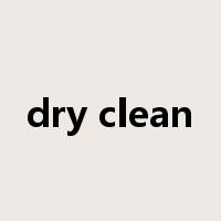 dry clean是什么意思