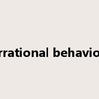 irrational behavior是什么意思