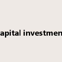 capital investment是什么意思