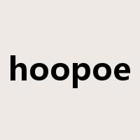 hoopoe是什么意思