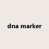 dna marker是什么意思