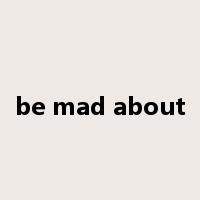 be mad about是什么意思