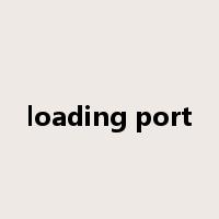 loading port是什么意思