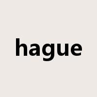 hague是什么意思