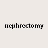 nephrectomy是什么意思