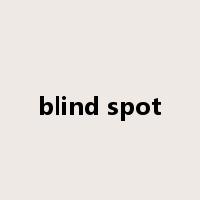 blind spot是什么意思