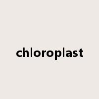 chloroplast是什么意思