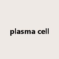 plasma cell是什么意思