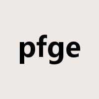 pfge是什么意思