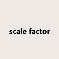 scale factor是什么意思