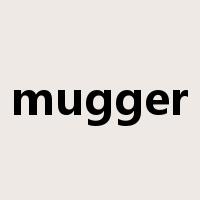 mugger是什么意思