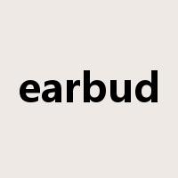 earbud是什么意思