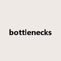 bottlenecks是什么意思