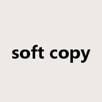 soft copy是什么意思
