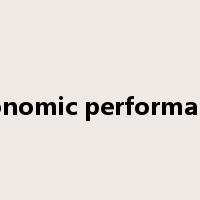economic performance是什么意思