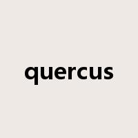 quercus是什么意思