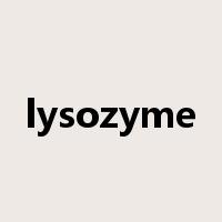 lysozyme是什么意思
