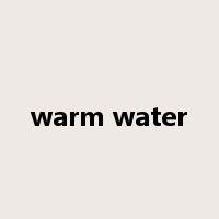 warm water是什么意思