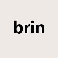 brin是什么意思