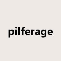 pilferage是什么意思