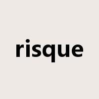 risque是什么意思