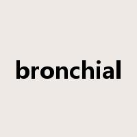 bronchial是什么意思