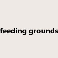 feeding grounds是什么意思