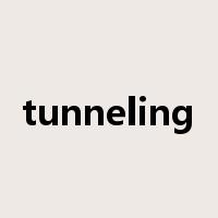 tunneling是什么意思