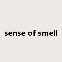 sense of smell是什么意思
