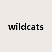 wildcats是什么意思
