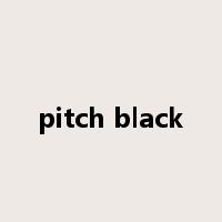 pitch black是什么意思